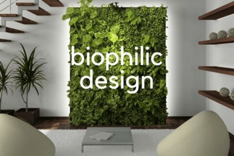 Biophilic Design - A Nature Oriented Interior Design