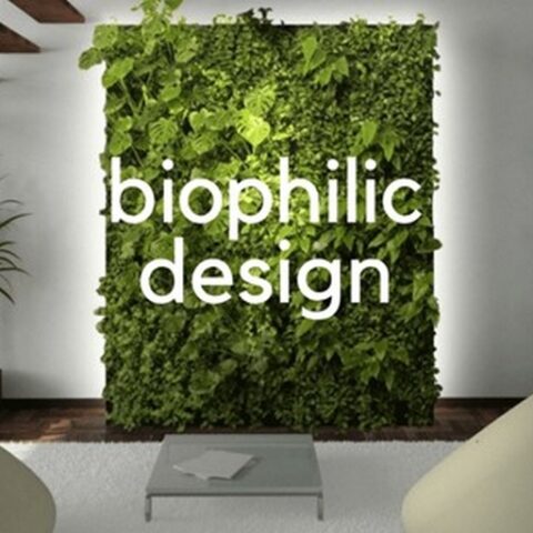 Biophilic Design - A Nature Oriented Interior Design