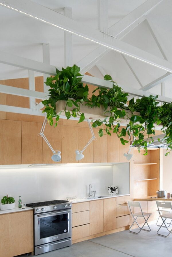 Biophilic Design - A Nature Oriented Interior Design