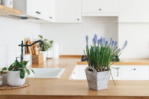 5 Eco-friendly products to design a sustainable kitchen
