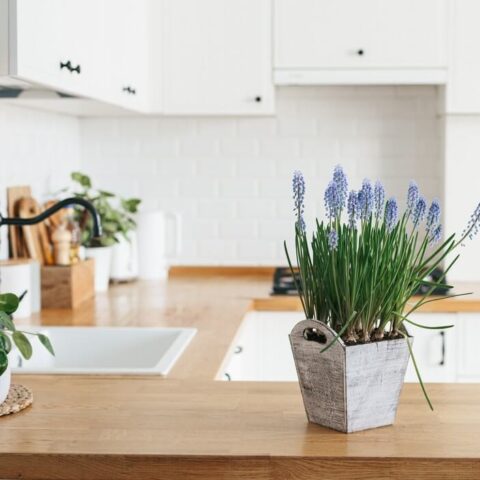 5 Eco-friendly products to design a sustainable kitchen