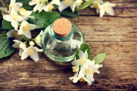 Benefits of jasmine oil for hair