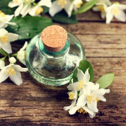 Benefits of jasmine oil for hair