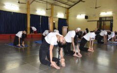 International Yoga Day-First Yoga Day Celebration at JD Goa