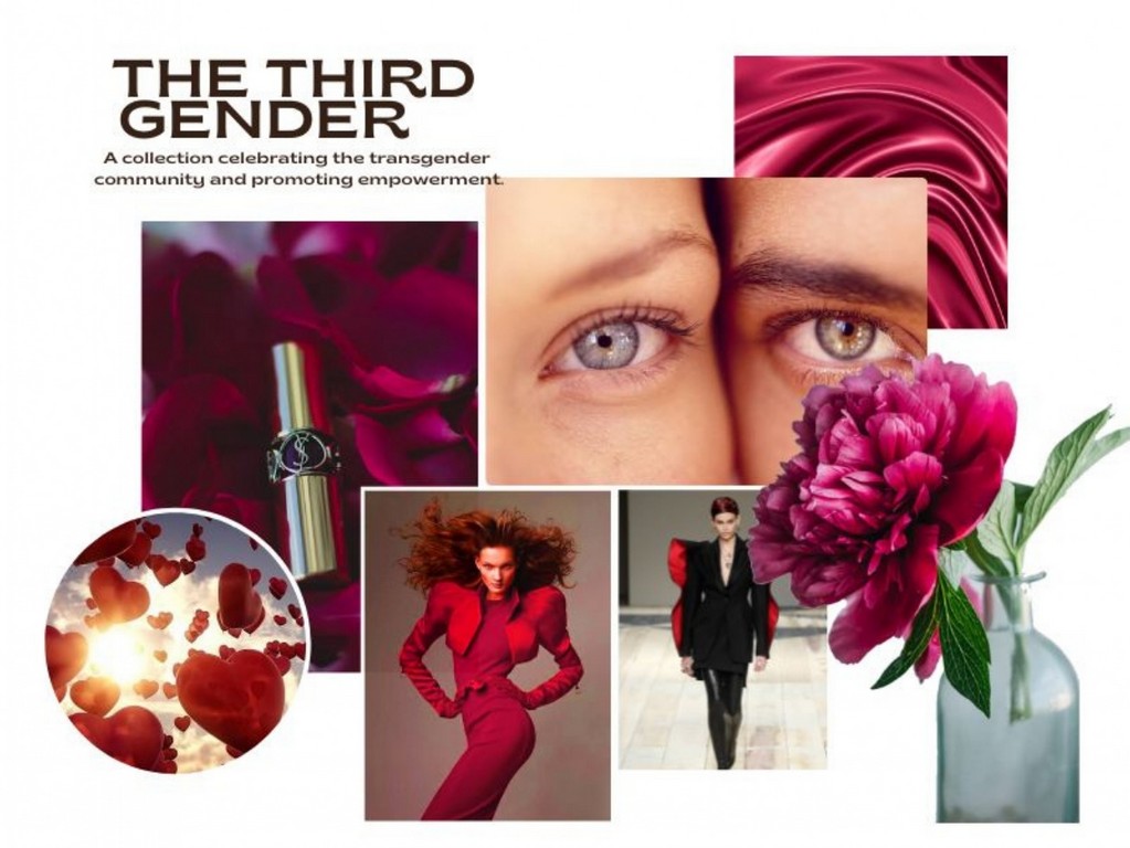 Beyond Binary Fashion for the Third Gender Boards 1 jpg