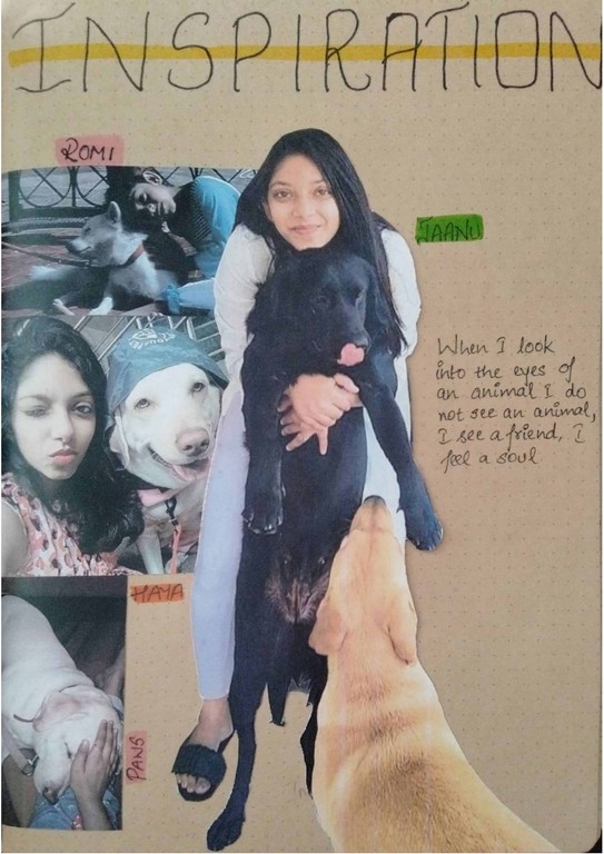 HAYA Canine Fashion Inspiration Board jpg