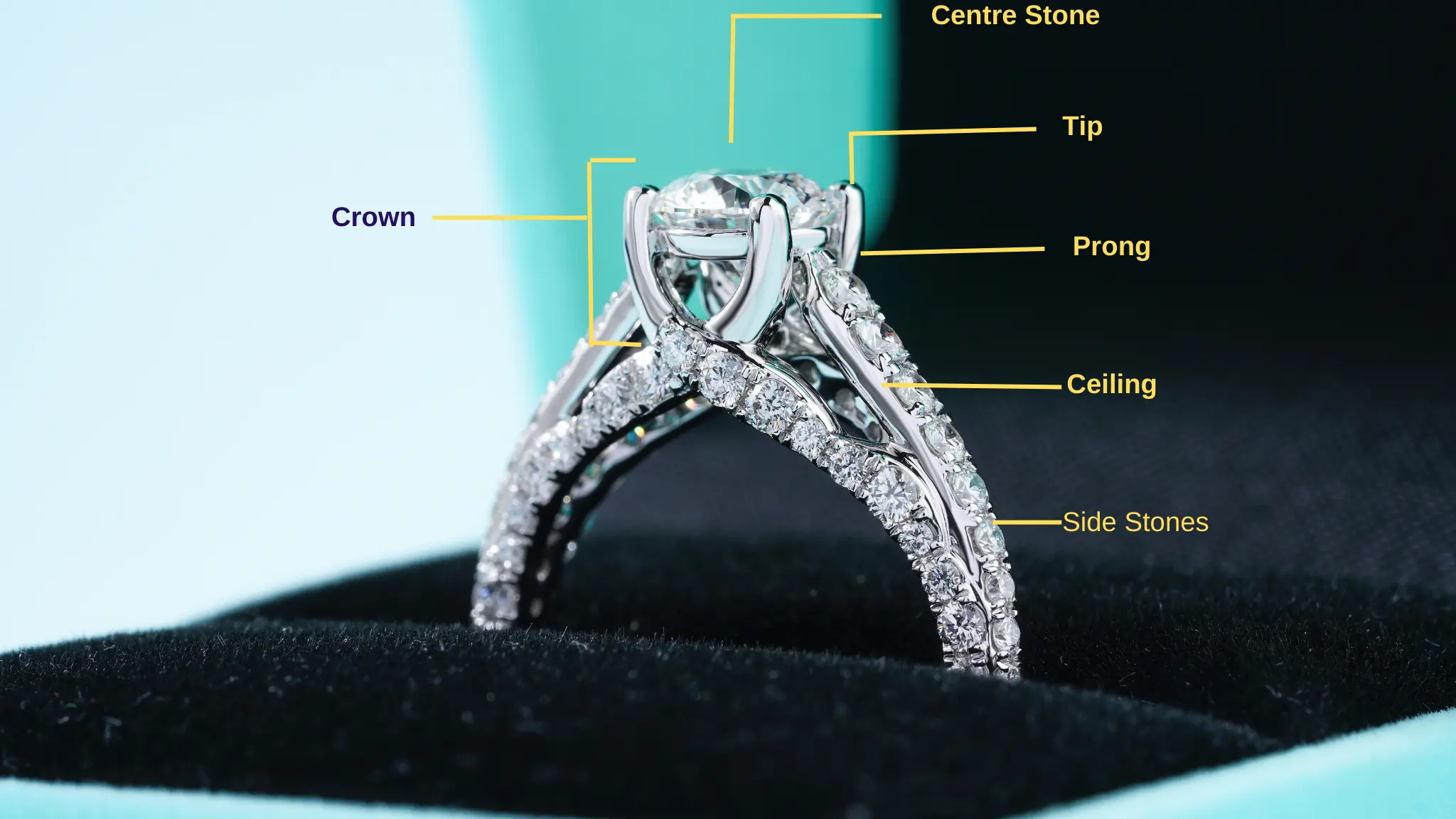 The Anatomy of a Ring Understanding the Parts 