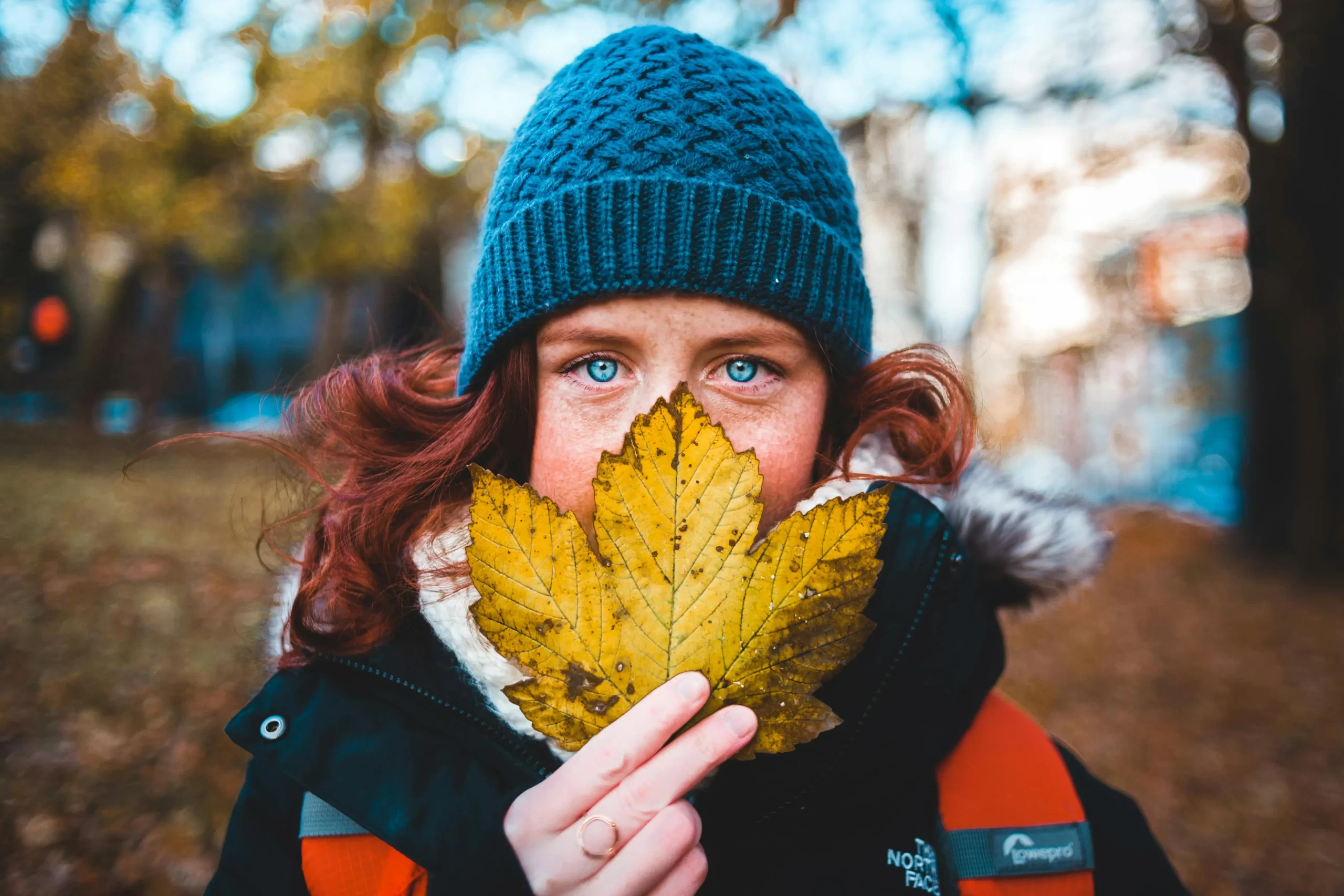 Fall or Winter Photos Tips To Capture Some Beautiful Shots