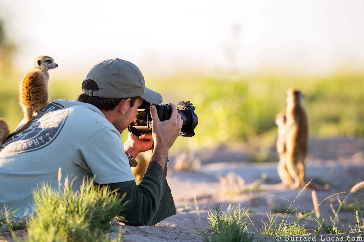 A Guide to Becoming a Professional Wildlife Photographer 