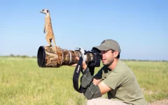 A Guide to Becoming a Professional Wildlife Photographer