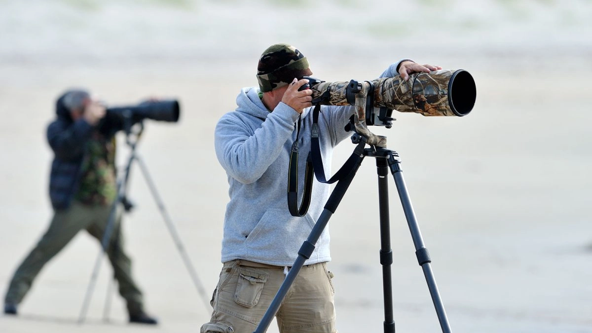 wildlife photography beginners 